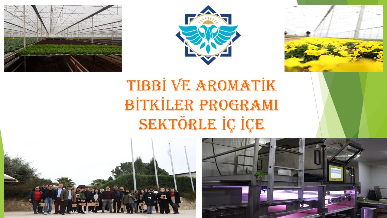 TIBBİ VE AROMATİK BİTKİLER PROGRAMI SEKTÖR İLE İÇ İÇE