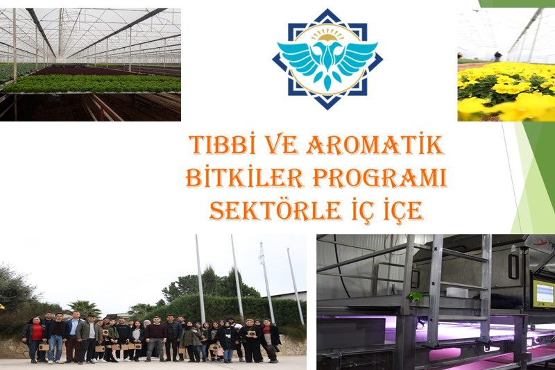 TIBBİ VE AROMATİK BİTKİLER PROGRAMI SEKTÖR İLE İÇ İÇE