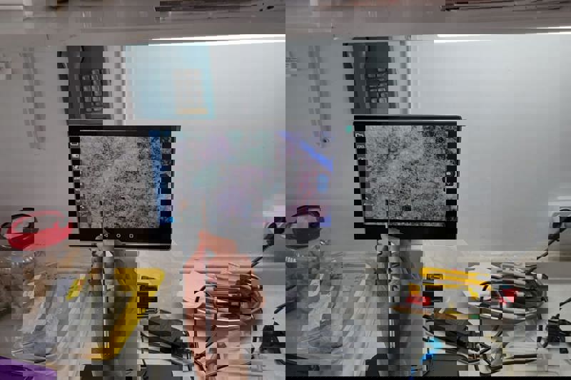 TIBBİ VE AROMATİK BİTKİLER PROGRAMI ÖĞRENCİLERİ ANTALYA'DA TEKNİK GEZİYE KATILDI 