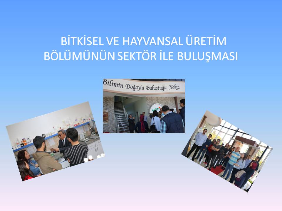 ÜNİVERSİTE İLE SEKTÖR BULUŞMALARI KALDIĞIN YERDEN DEVAM EDİYOR